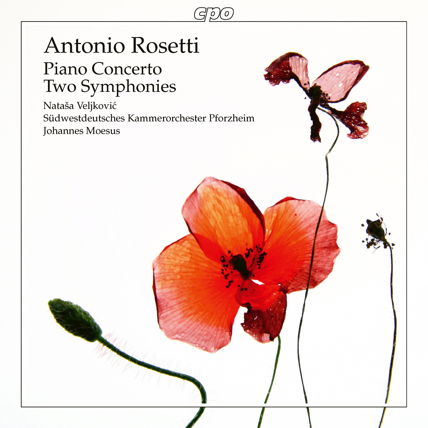 Antonio Rosetti